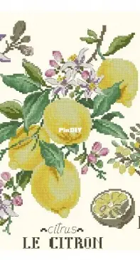 Les Brodeuses Parisiennes LBP - Etudes aux fruits - Le citron