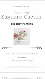 Oche Pots - Clare Cooper - Sadie the Saguaro Cactus