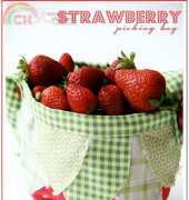 Red Brolly - Strawberry Picking Bag - Free