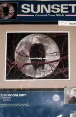 Dimensions 13688 Eagle in Moonlight