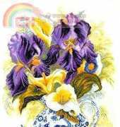 Anchor 83753 Elizabeth de Lisle  Glorious Blooms