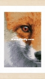 Lanarte PN-0171836 Fox  XSD
