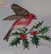 bird