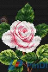 Hafty Polski - One Rose XSD