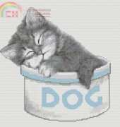 Cross Stitch Canepa - Sleep