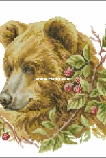 RTO M110 Bear and Raspberry XSD