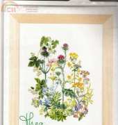 Thea Gouverneur 424 - Herbal Gardens