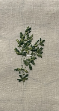 Marie Barber, False Indigo