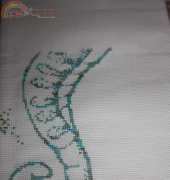 QS Seahorse by HAED