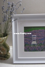 Lavanda