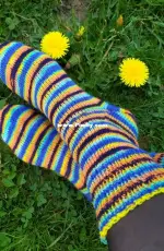Socks Stringtime