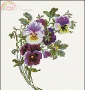 Riolis 1020 - Bunch of Pansies