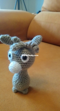 Billy the llama