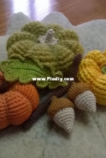 Pumpkins & acorns