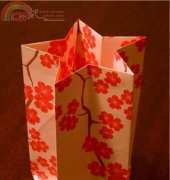 Origami Star Vase - P. Chapman-Bell