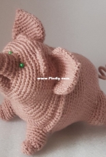 pig