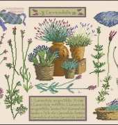 DMC XC1050 - Lavender Sampler