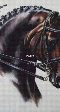 Abakan - Caballo 2 by Elena Soler