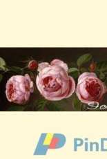 EstE 008 Still Life with Roses