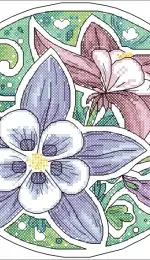 Aquilegia by Alisa Okneas xsd