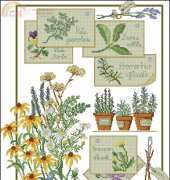 Herbal flowers