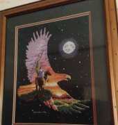 Indian Eagle framed