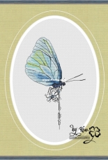 Summer Butterfly by Ksenia Glushkova / Ксю - Free