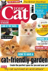 Your Cat - July 2018