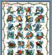 The Vermillion Stitchery 263 The Bird Alphabet