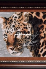 Charivna Mit' A-159 - Cheetah