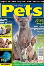 World of Pets Issue1 2017