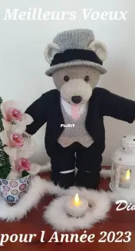Happy New Year Teddy Bear