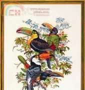 Eva Rosenstand 12-212 14-213 Toucans