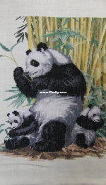 Panda with cubs
