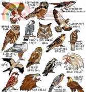 Jeanette Crews Designs 482 One Night Sleepers - 40 Birds of Prey PCS