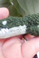Meek Crocodile
