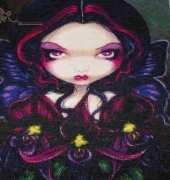QS Black Orchid Fairy