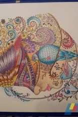 Coloring