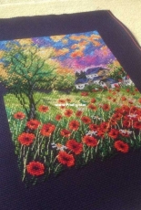 Poppies by RTO