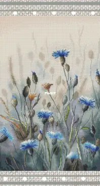 Cornflower Field by Anastasia Eremina