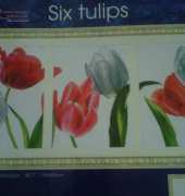 Six Tulips (part 3) - DONE