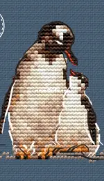 Gentoo penguin by Aika Yaraya