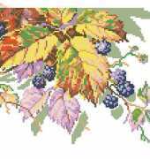 Riolis 220  Bilberry