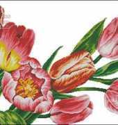 DOME 100823 Tulips 2