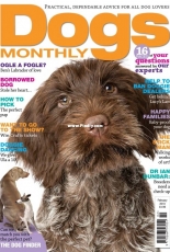 Dogs Monthly February 2018