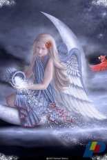 HAED HAERAET 124 Winter Moon by Rachael Tallamy