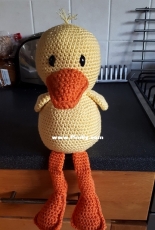 Lucie Coates - Duck - Free