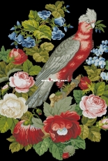 Elif - Antique Woolwork Parrot XSD
