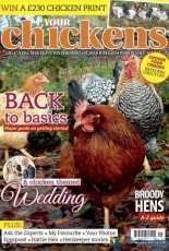 Your Chickens - January 2017