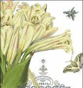 KEC NV-030 Lily Jardin Botanique II